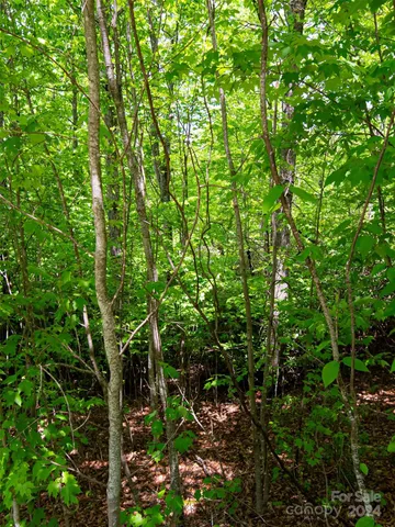 $80,000 | 185 Crossvine Trail, Hendersonville, NC 28739