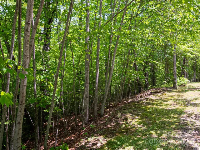 $80,000 | 185 Crossvine Trail, Hendersonville, NC 28739