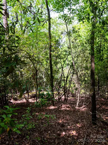 $80,000 | 185 Crossvine Trail, Hendersonville, NC 28739