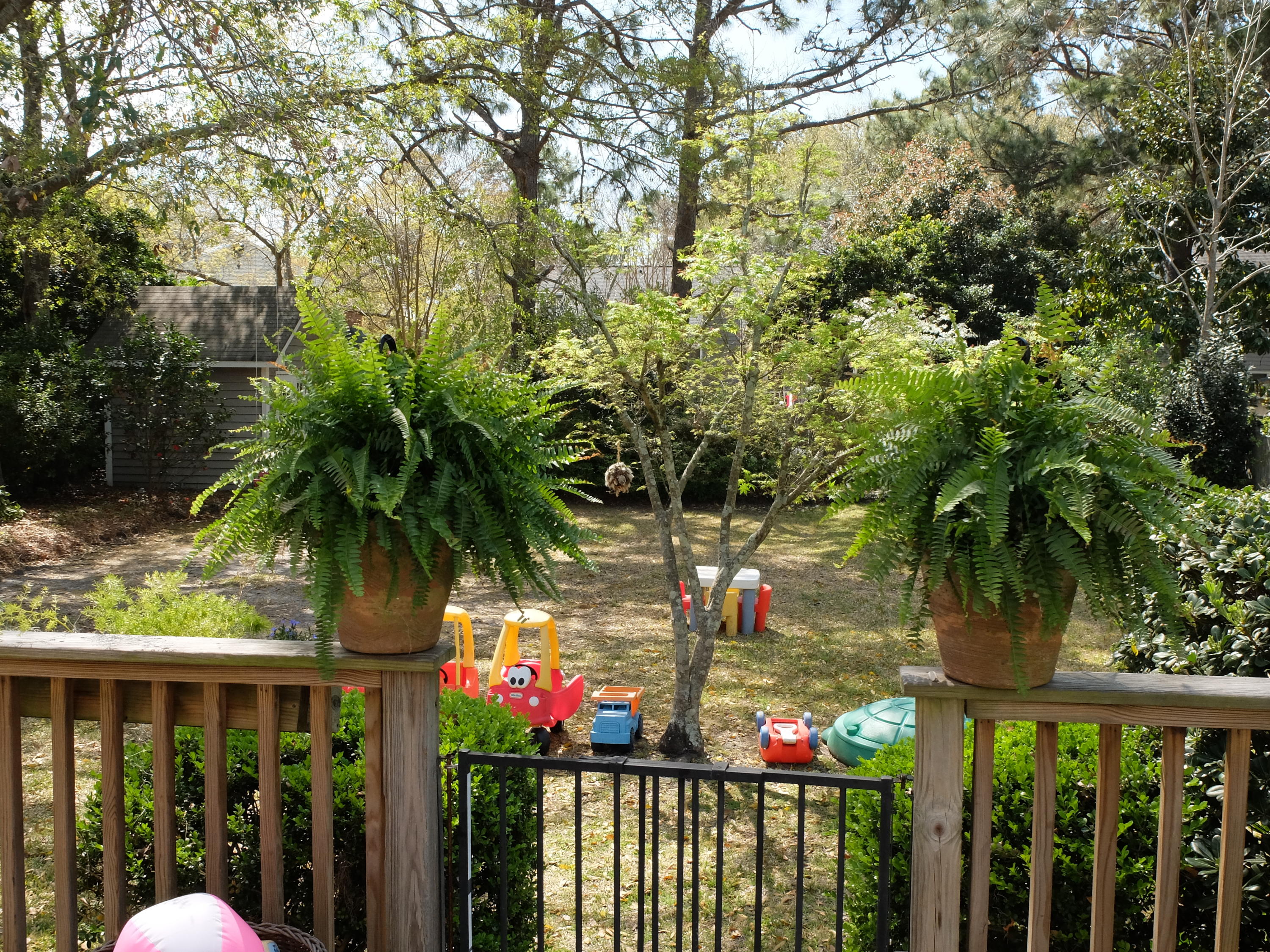 930 Tall Pine Road Mount Pleasant, SC 29464 - Photo 12 of 18 DSCF1277