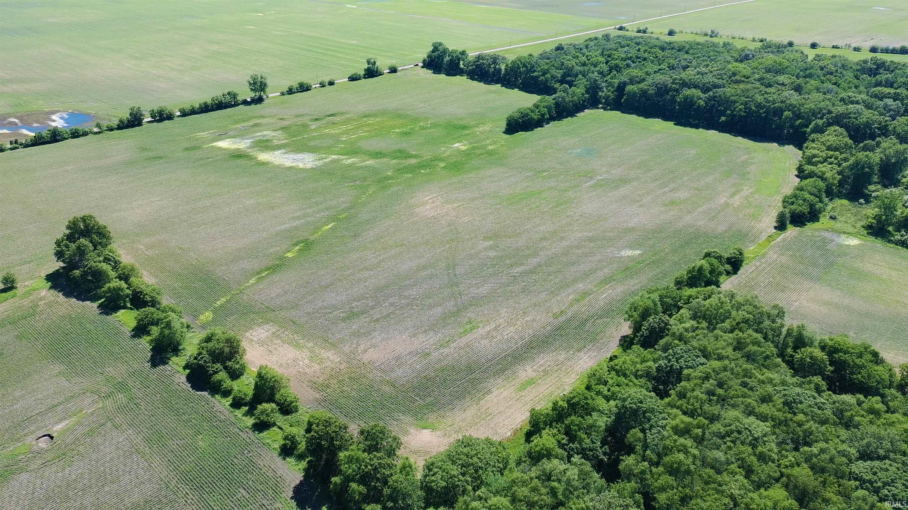 State Road Monticello, IN 47960 - Photo 4 of 10