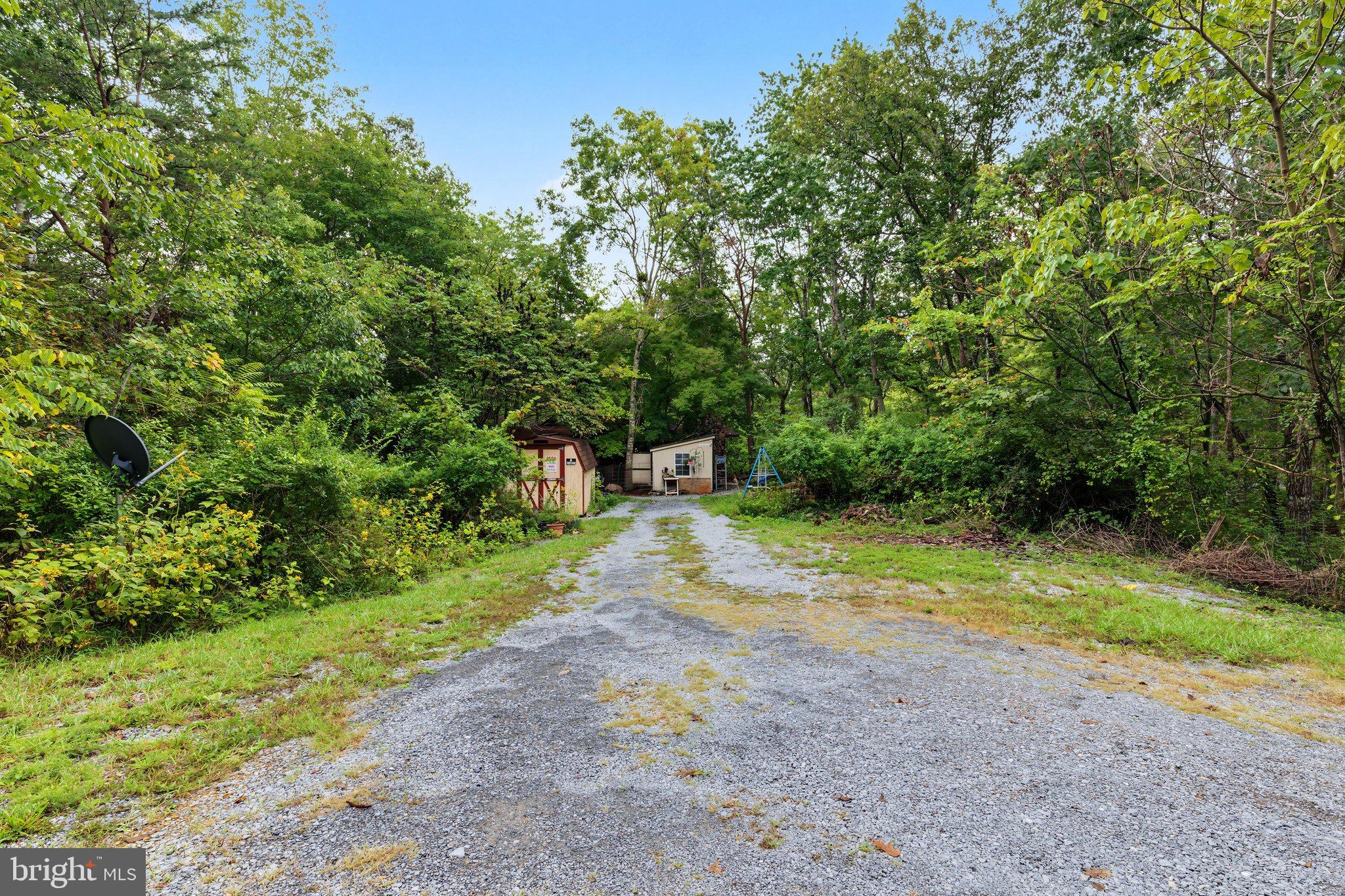 1272 Shipwreck Road Shenandoah, VA 22849 - Photo 30 of 37 BY1A2751-ABSALT-SEPT2026 26