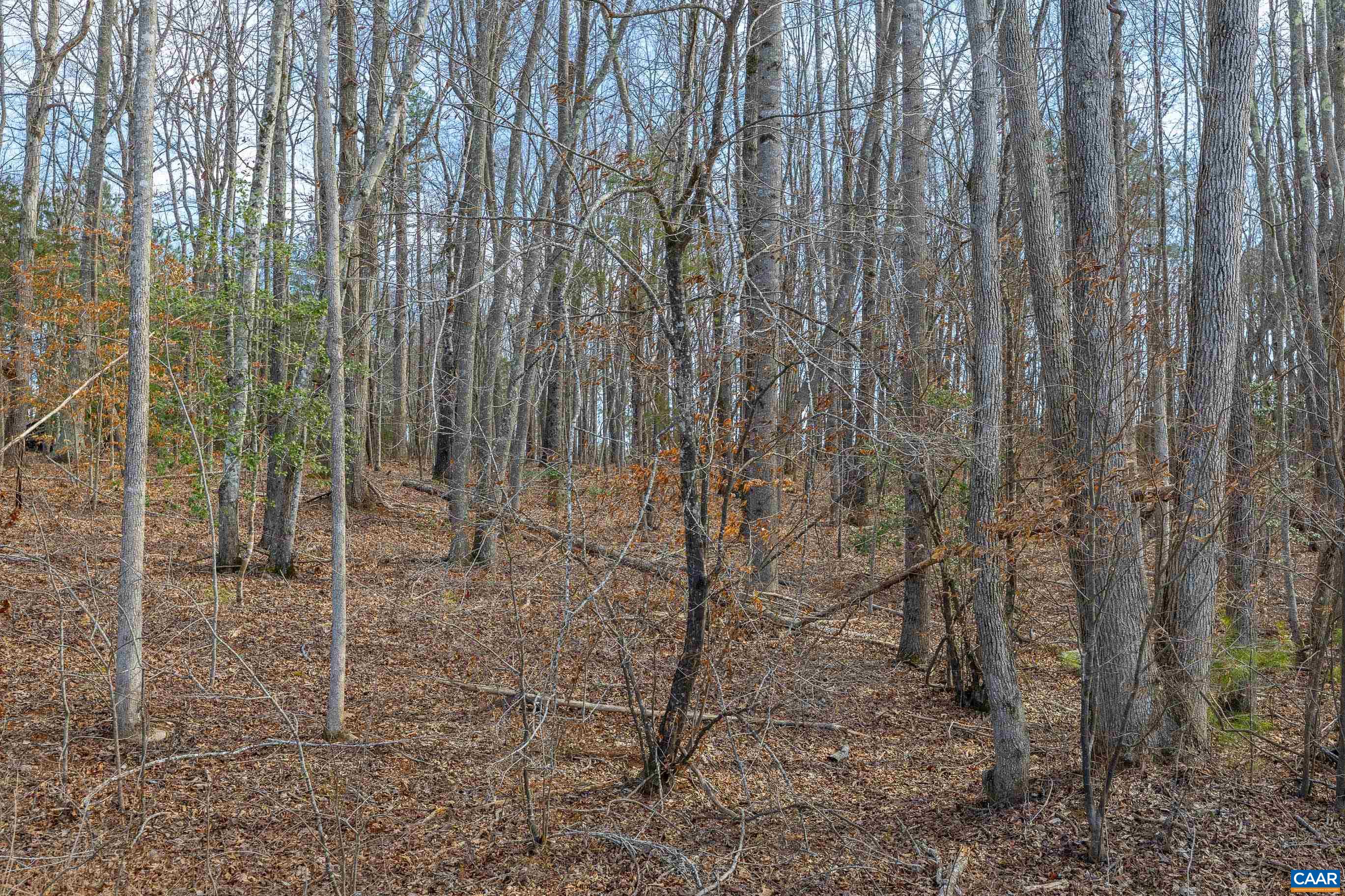 Tbd Bibleway Road Victoria, VA 23974 - Photo 1 of 33 Gallery Image 1