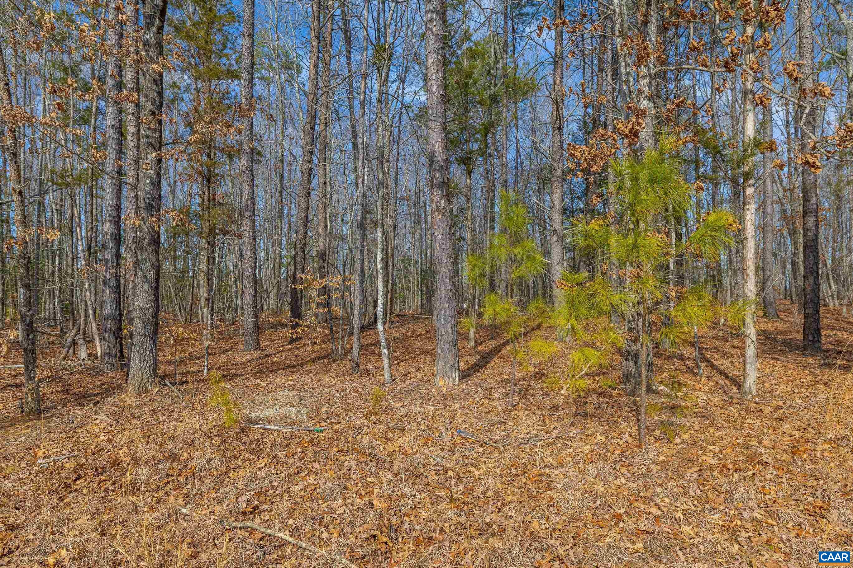 Tbd Bibleway Road Victoria, VA 23974 - Photo 19 of 33 Gallery Image 19