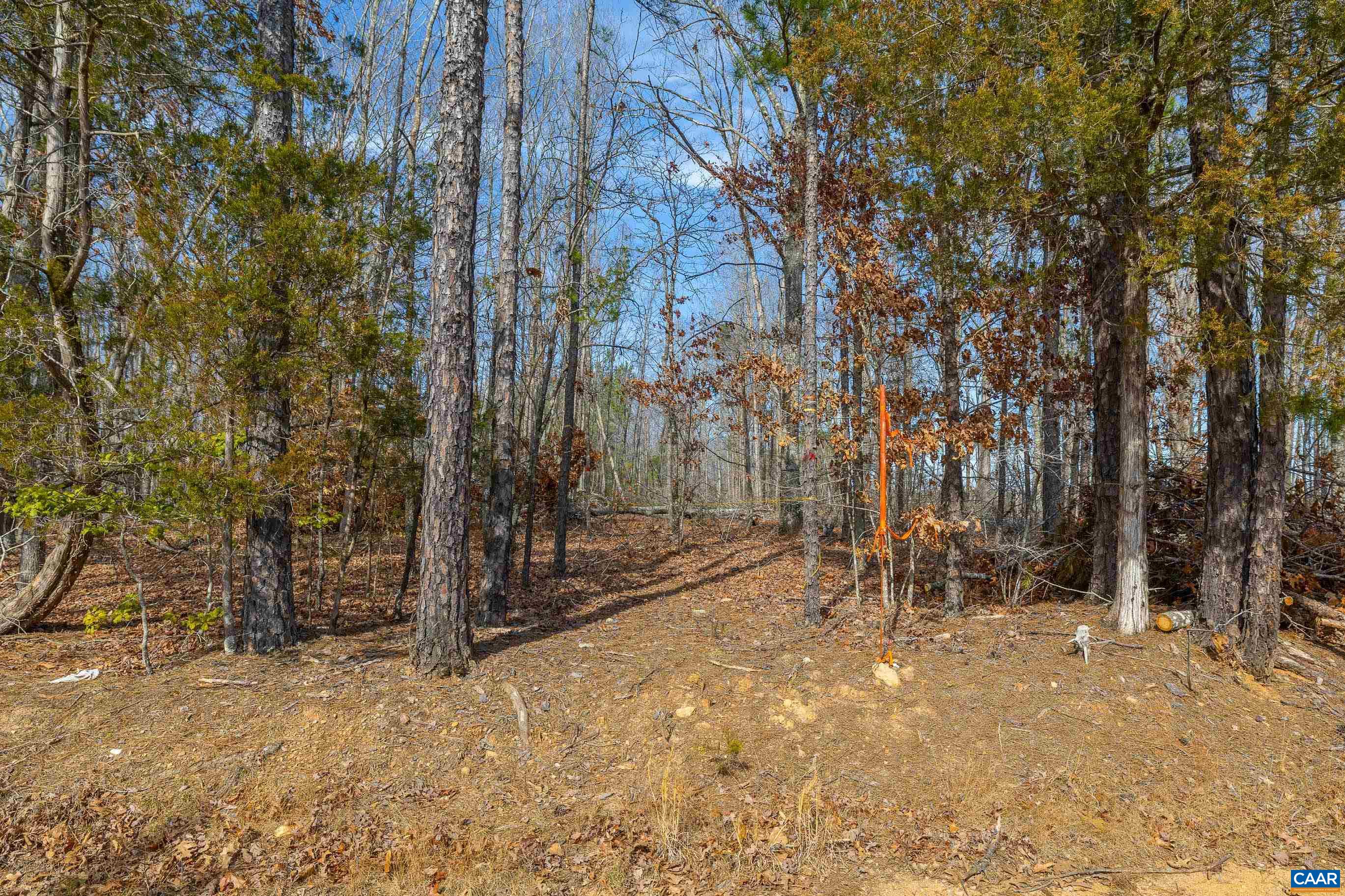 Tbd Bibleway Road Victoria, VA 23974 - Photo 20 of 33 Gallery Image 20