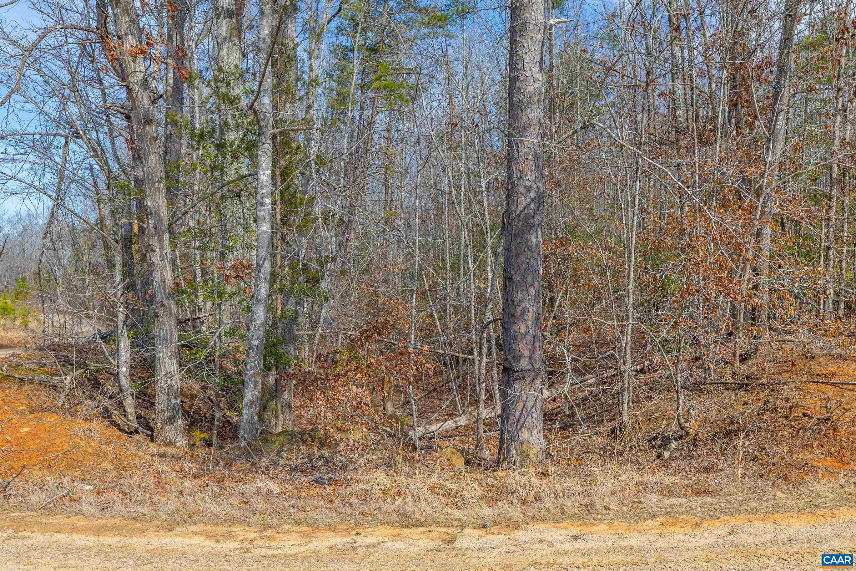 Tbd Bibleway Road Victoria, VA 23974 - Photo 3 of 33 Gallery Image 3