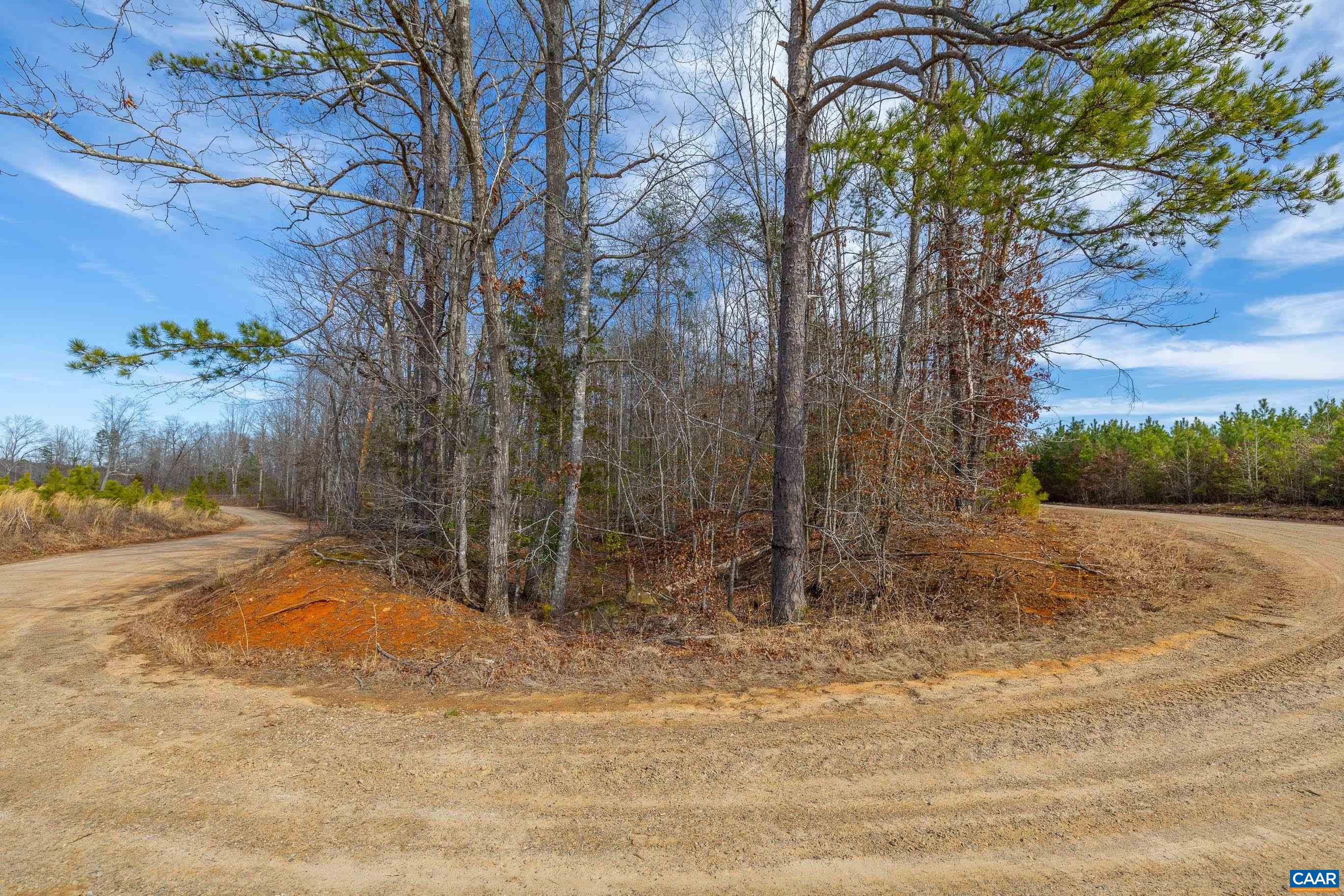 Tbd Bibleway Road Victoria, VA 23974 - Photo 4 of 33 Gallery Image 4