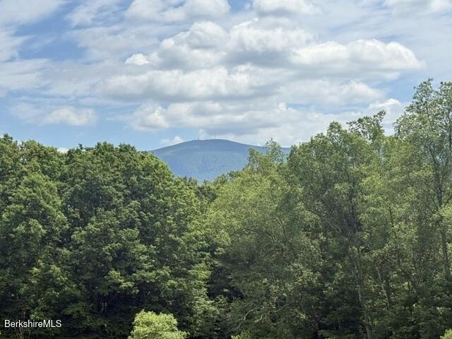 324 Oblong Road Williamstown, MA 01267 - Photo 42 of 42 View of Mt. Greylock