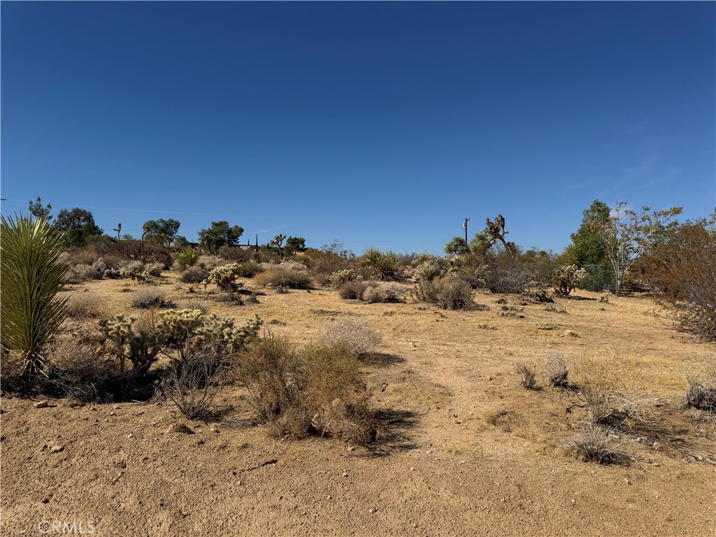 7218 Juniper Road Joshua Tree, CA 92252 - Photo 1 of 4