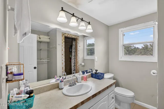 a view of a park with large trees