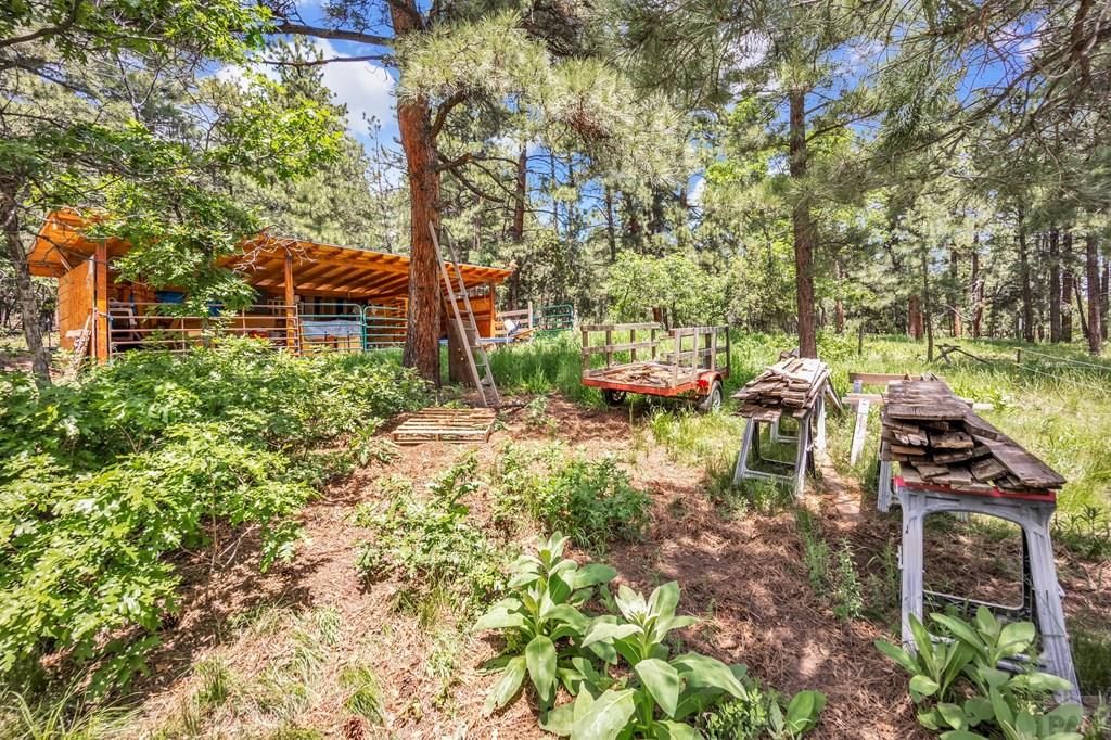8564 Ridge Road Beulah, CO 81023 - Photo 49 of 71