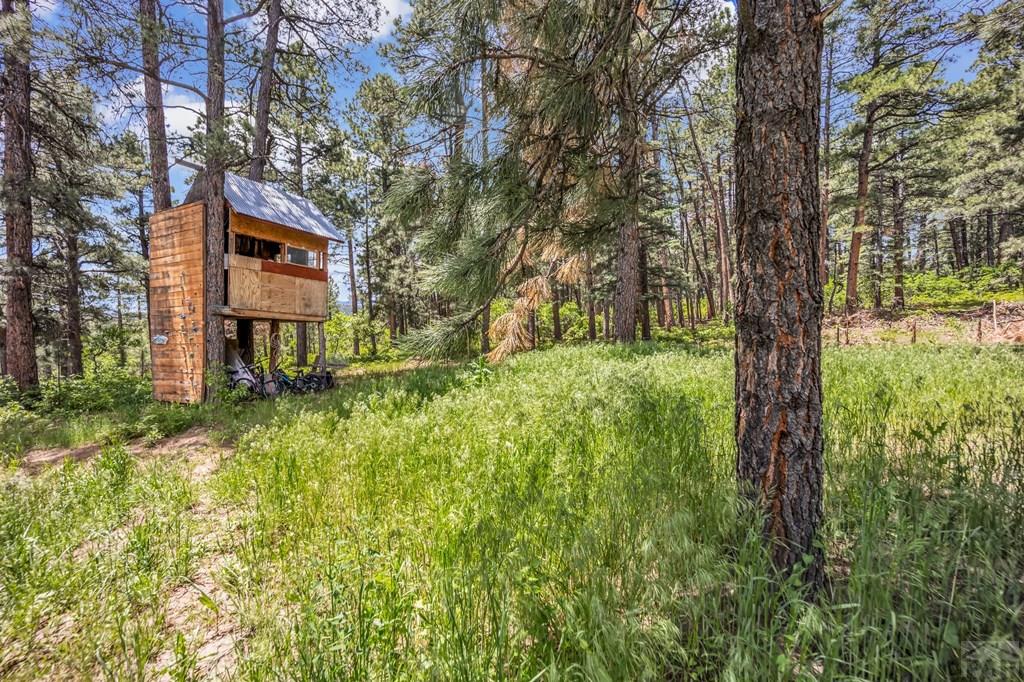 8564 Ridge Road Beulah, CO 81023 - Photo 51 of 71