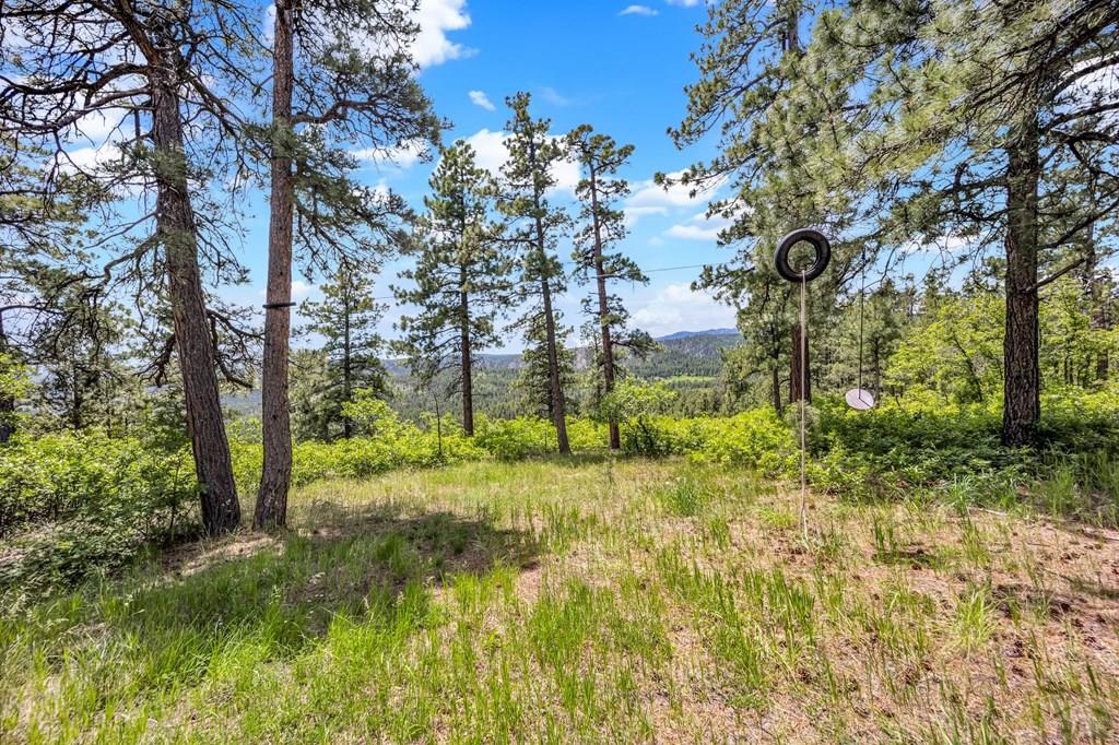 8564 Ridge Road Beulah, CO 81023 - Photo 58 of 71