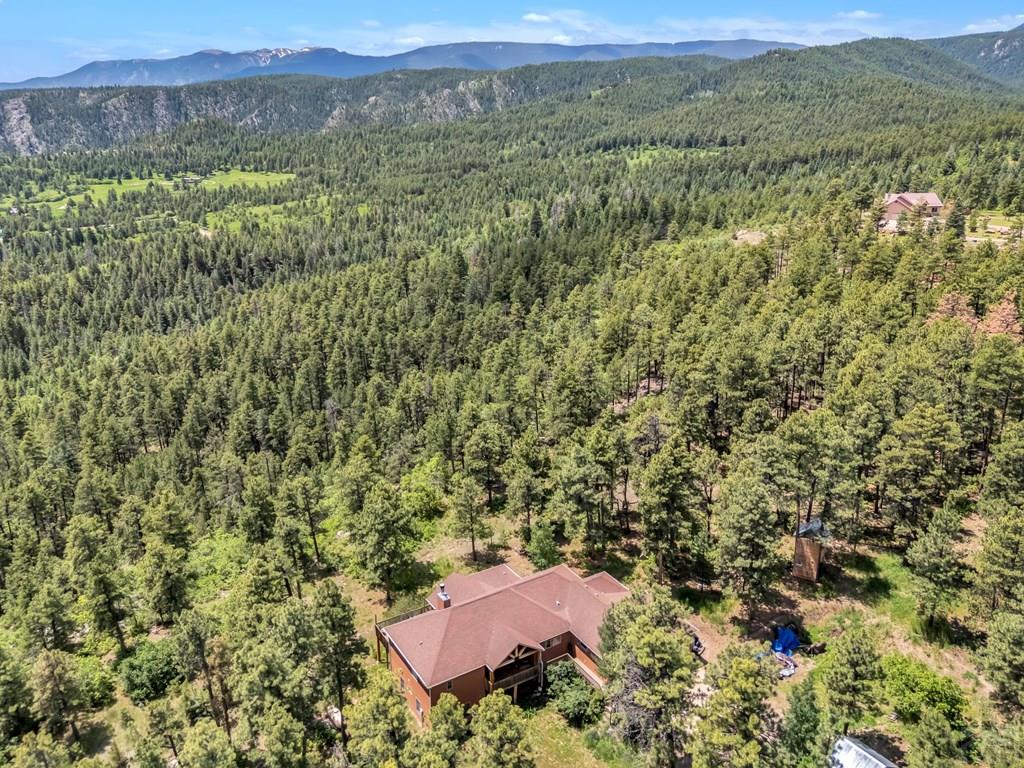 8564 Ridge Road Beulah, CO 81023 - Photo 61 of 71