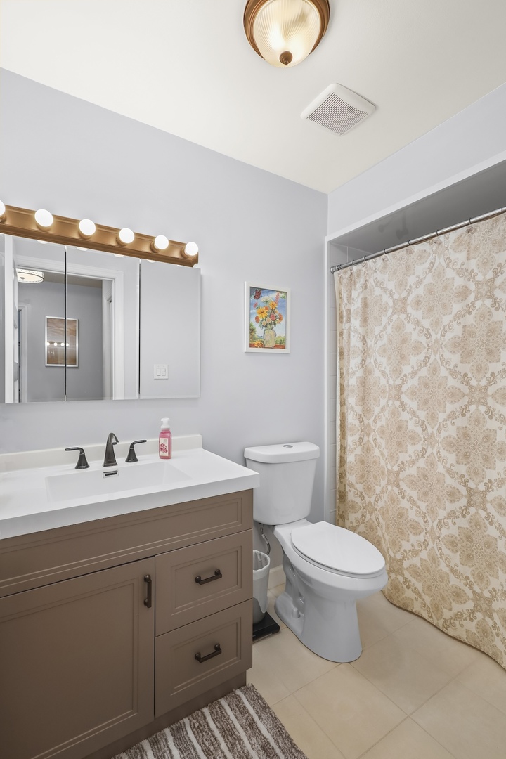 1229 Anvil Court Addison, IL 60101 - Photo 18 of 45 Gallery Image 18