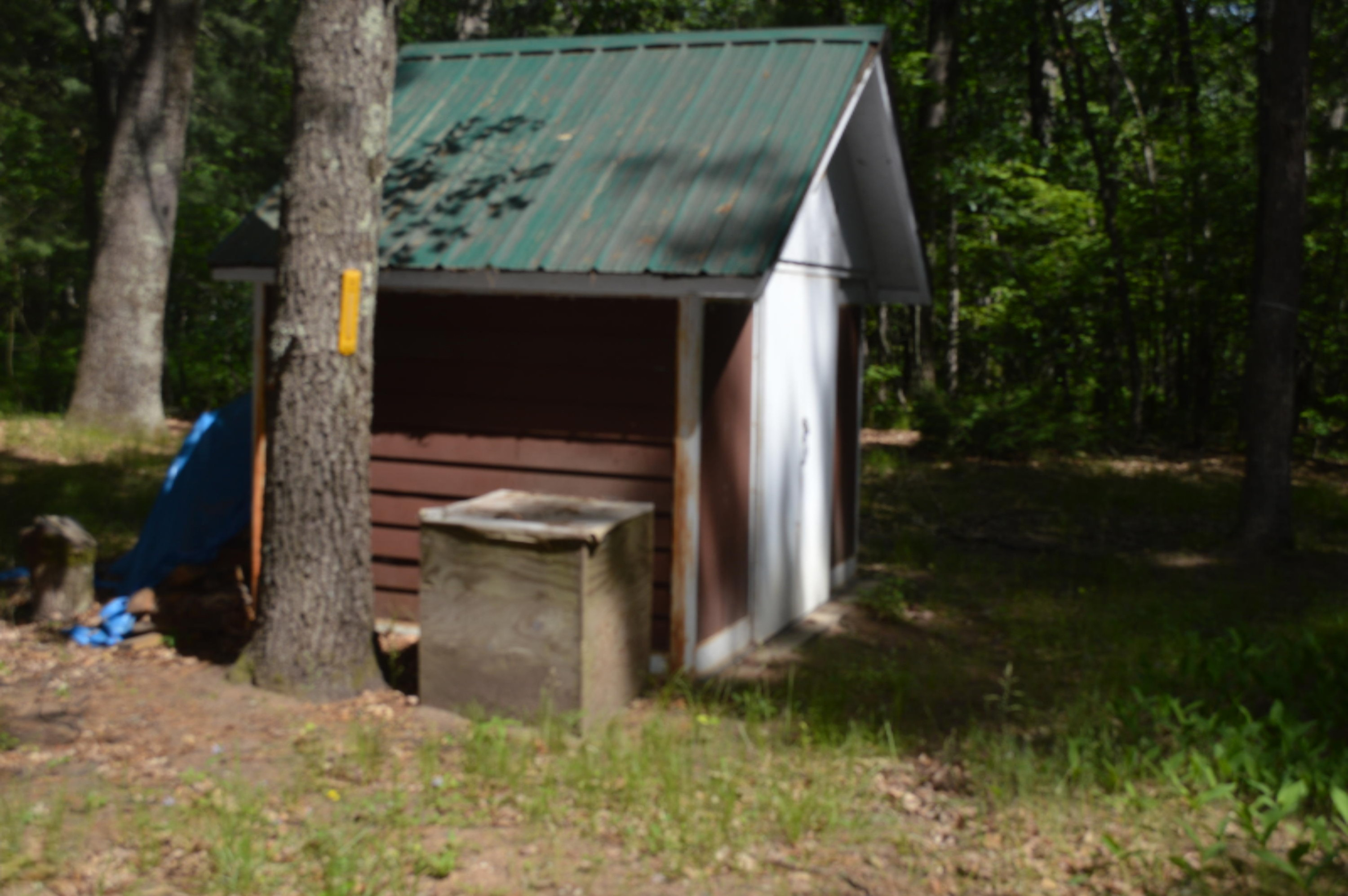 826 Emmons Road Wellston, MI 49689 - Photo 13 of 13 DSC_0208