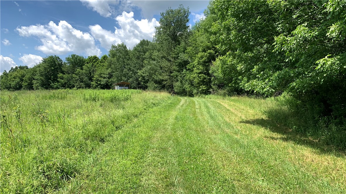 667 Boos Law Road Smyrna, NY 13464 - Photo 40 of 50