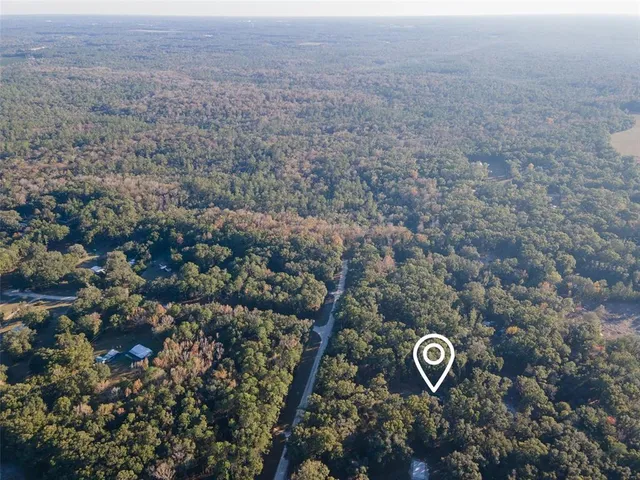a view of a street with a tree