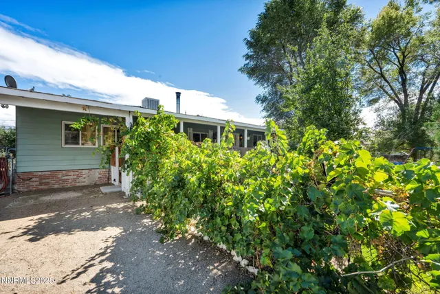 a view of a yard with plants and trees