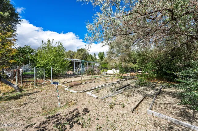 a view of yard from a window