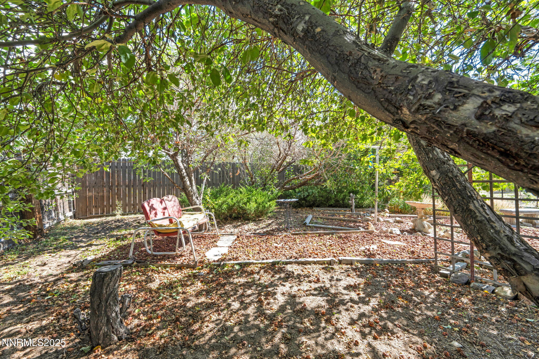 4000 Bobolink Circle Reno, NV 89508 - Photo 59 of 66 a view of a yard with a tree and a patio