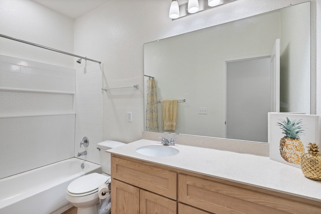 1926 Dragonfly Loop Bastrop, TX 78602 - Photo 23 of 33 a bathroom with a sink a toilet and a large mirror