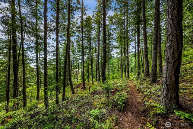 a view of outdoor space and green space