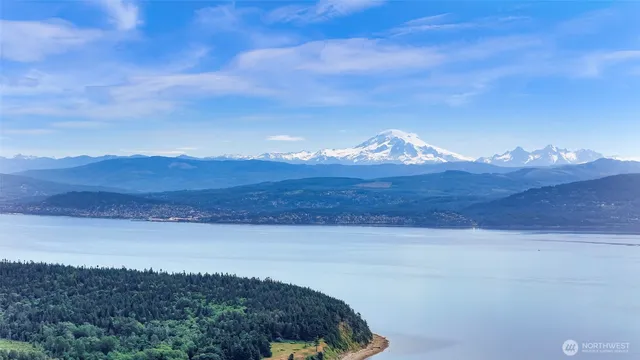 a view of a backyard with mountain