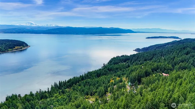 a view of a lake from a yard