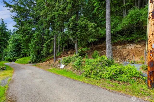 a backyard of a house with plants and large trees