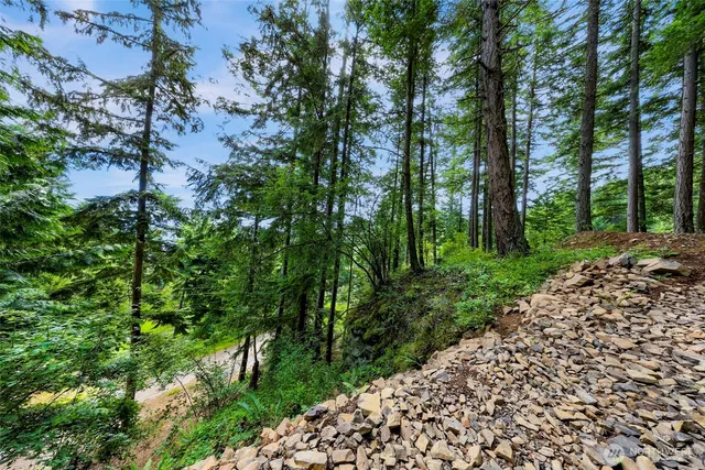 a view of a pathway both side of yard
