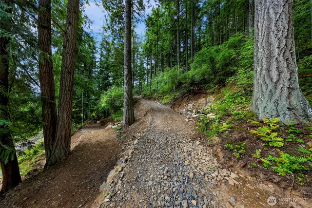 a big yard with lots of green space