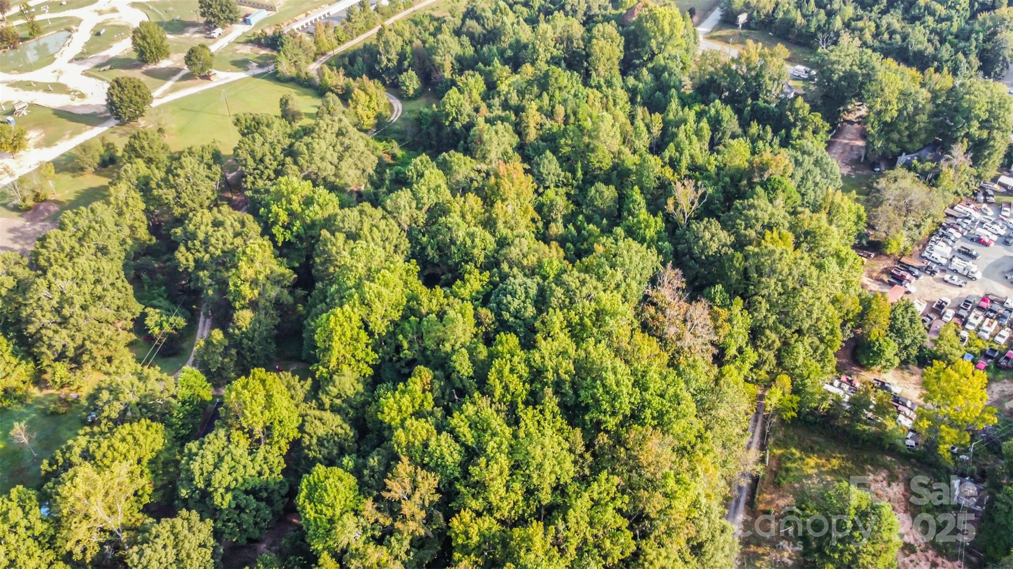 3164 Andrew Link Road Iron Station, NC 28080 - Photo 16 of 17 a view of a lush green forest