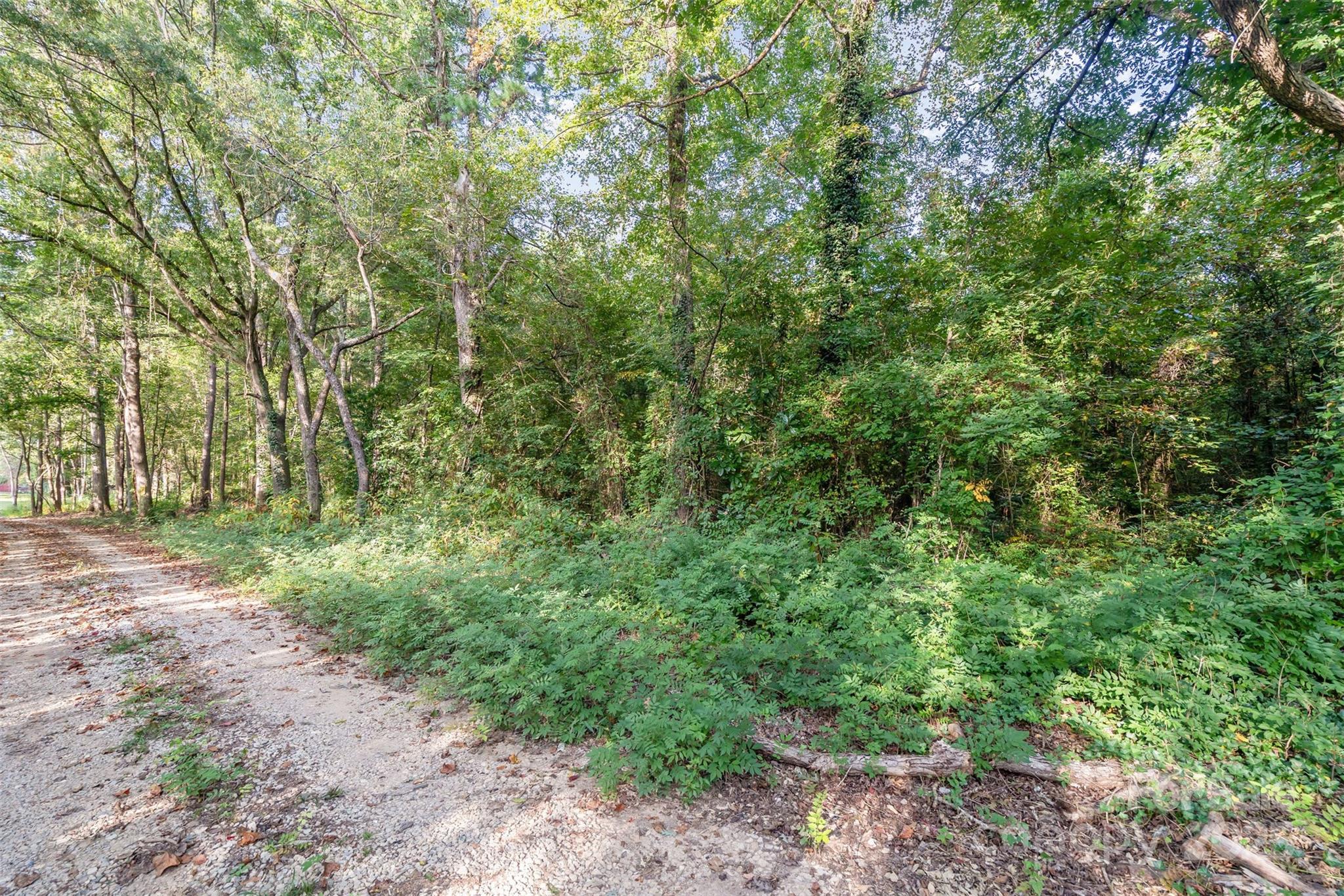 3164 Andrew Link Road Iron Station, NC 28080 - Photo 7 of 17 a view of a yard with large trees