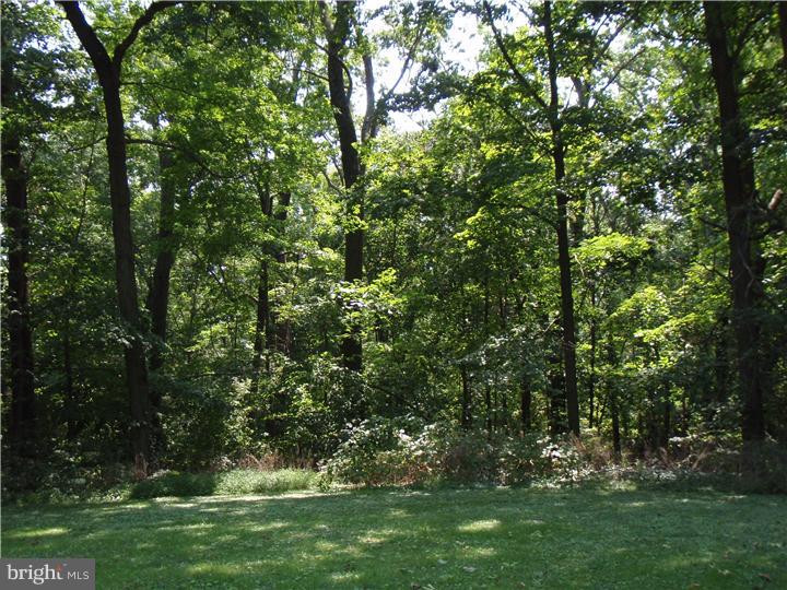 1419 North Ridge Road Perkasie, PA 18944 - Photo 13 of 16 View in Back