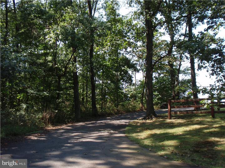 1419 North Ridge Road Perkasie, PA 18944 - Photo 4 of 16 Driveway
