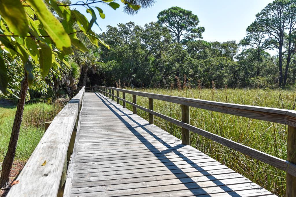 1935 Smugglers Cove Road St. George Island, FL 32328 - Photo 17 of 19