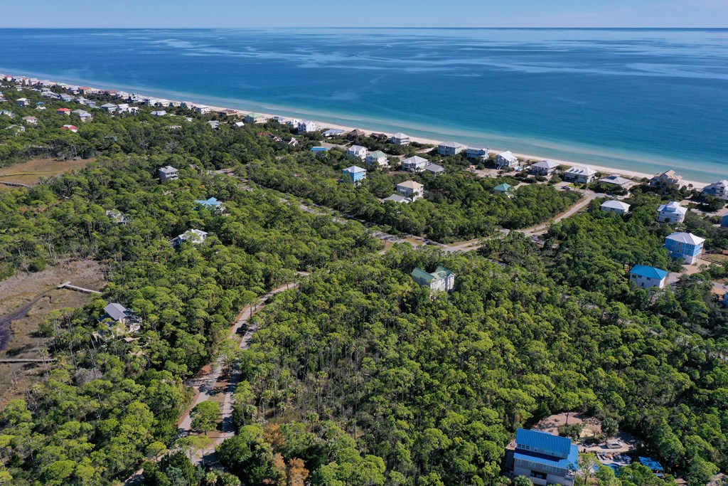 1935 Smugglers Cove Road St. George Island, FL 32328 - Photo 2 of 19