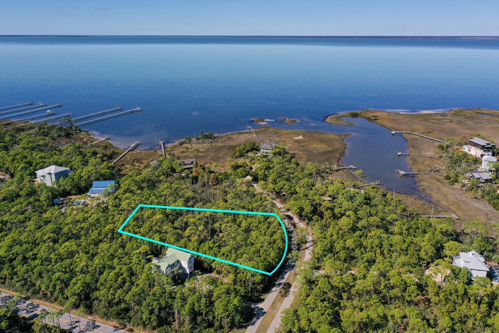 1935 Smugglers Cove Road St. George Island, FL 32328 - Photo 5 of 19