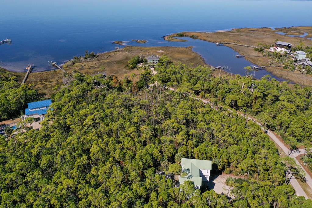 1935 Smugglers Cove Road St. George Island, FL 32328 - Photo 6 of 19