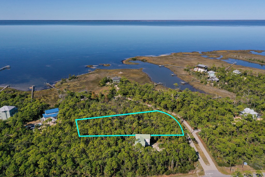 1935 Smugglers Cove Road St. George Island, FL 32328 - Photo 7 of 19