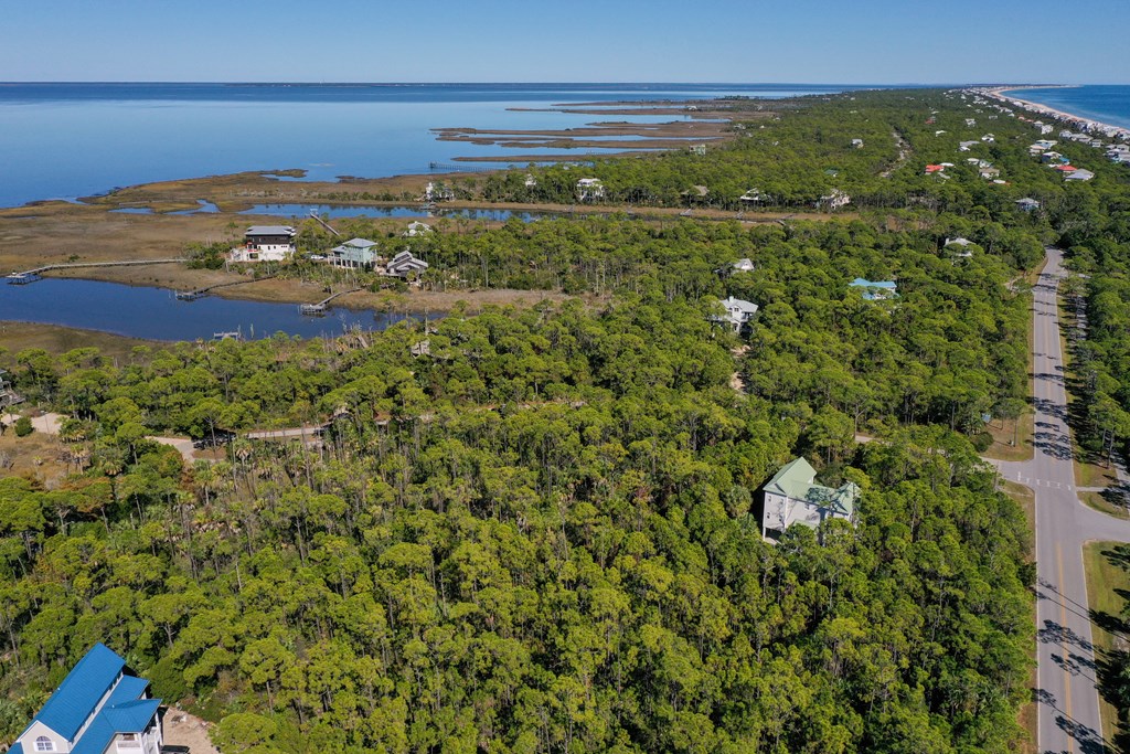 1935 Smugglers Cove Road St. George Island, FL 32328 - Photo 8 of 19