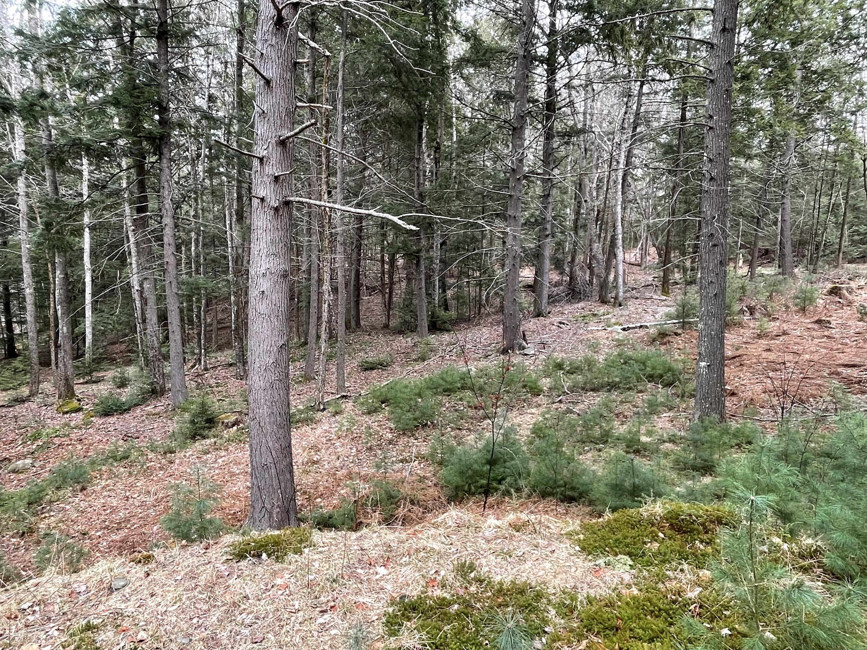 0 Wood Road Jefferson, ME 04348 - Photo 11 of 14