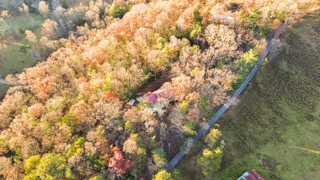101 Harper Valley Road Ellijay, GA 30540 - Photo 55 of 58