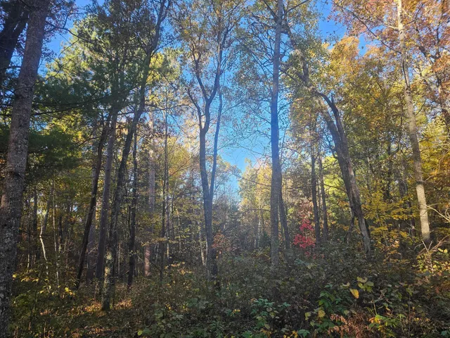 $174,900 | 1894 South Lost Lake Road, Webb Lake, WI 54830