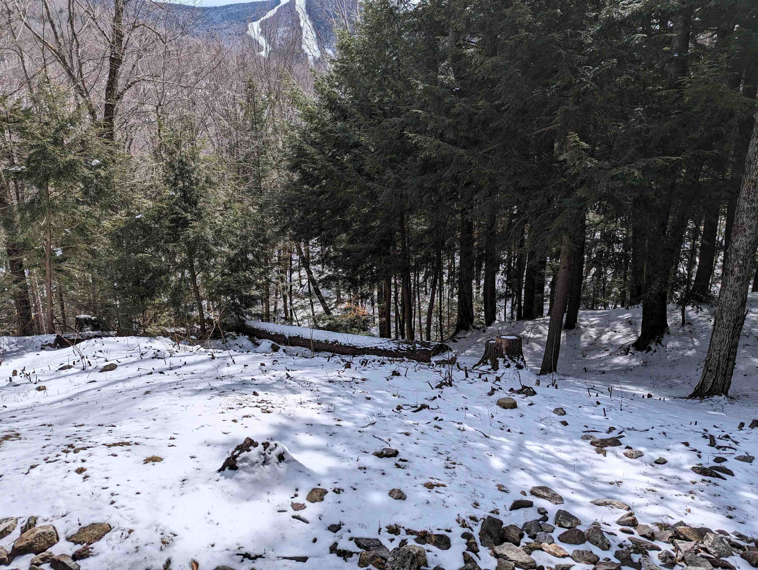 73 Clearbrook Road, Unit 3 Lincoln, NH 03251 - Photo 28 of 40
