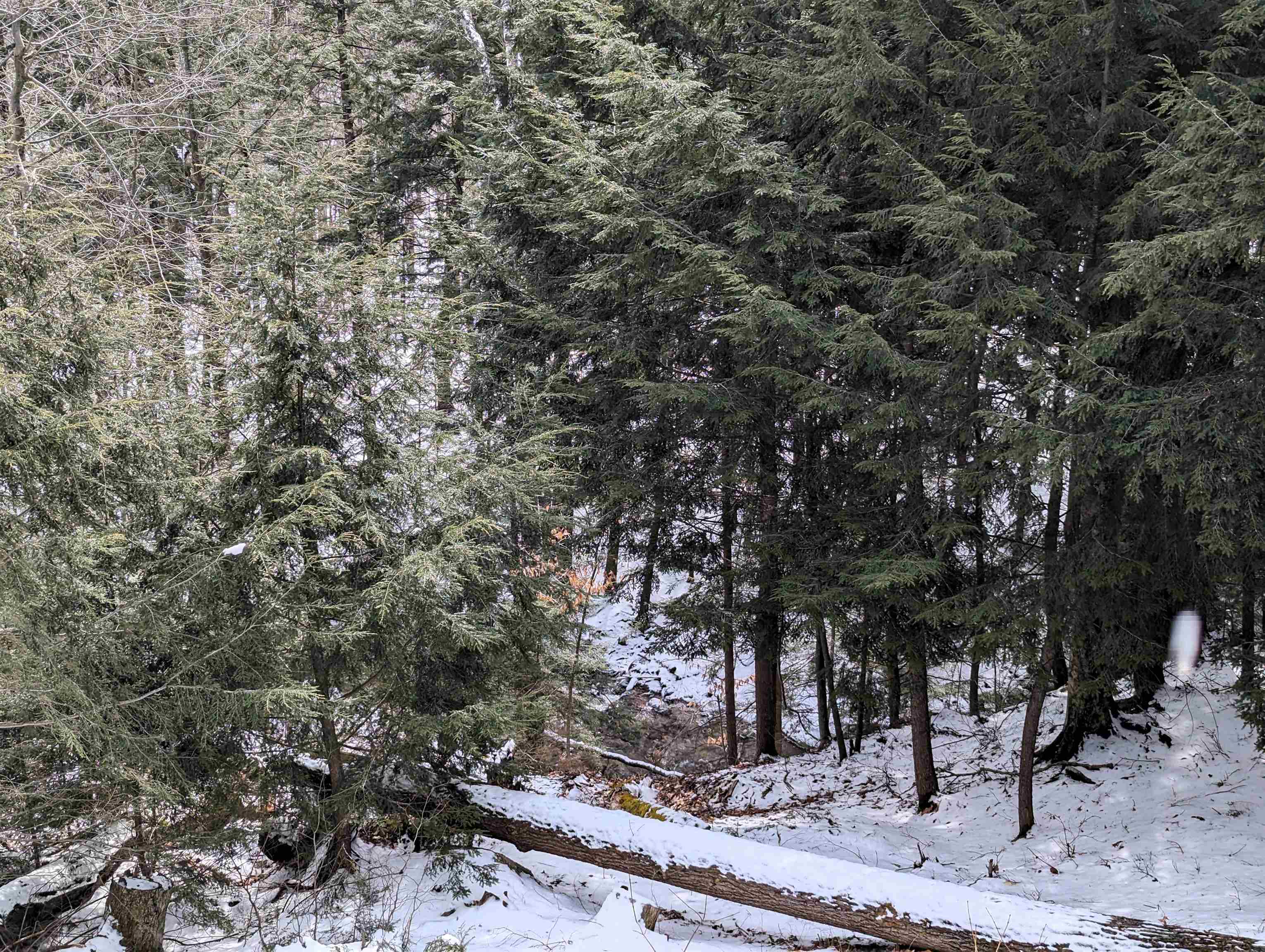 73 Clearbrook Road, Unit 3 Lincoln, NH 03251 - Photo 8 of 40