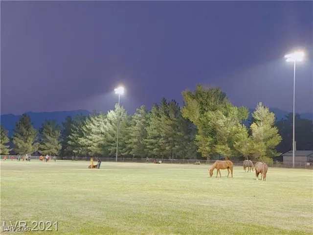 $1,950 | 630 East Simkins Road, Pahrump, NV 89060