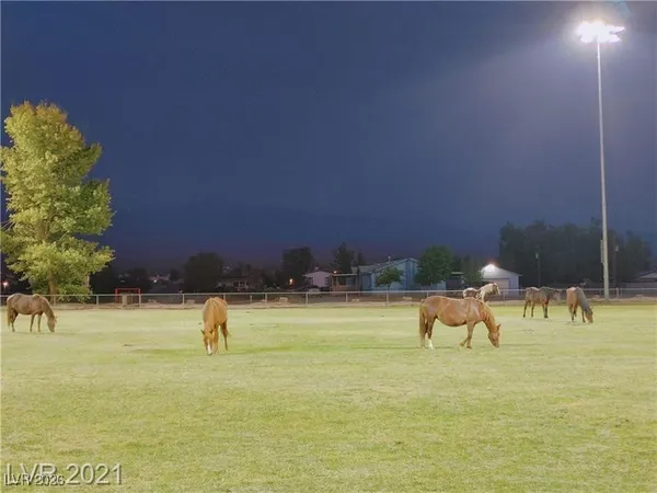$1,950 | 630 East Simkins Road, Pahrump, NV 89060