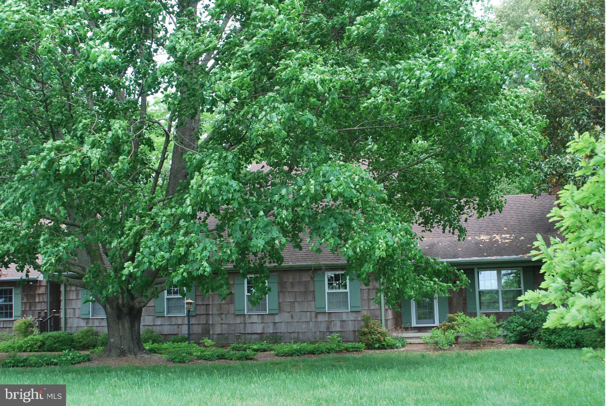 8821 Tuckahoe Road Denton, MD 21629 - Photo 3 of 8 Exterior (Front)
